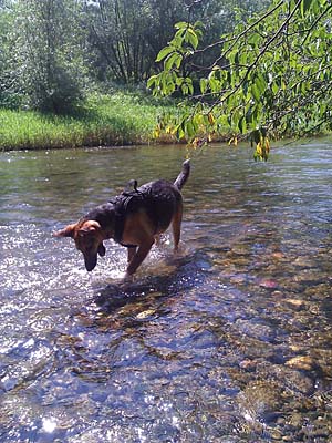 Wasserspiel Wasserspiel