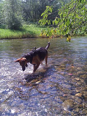 Wasserspiel