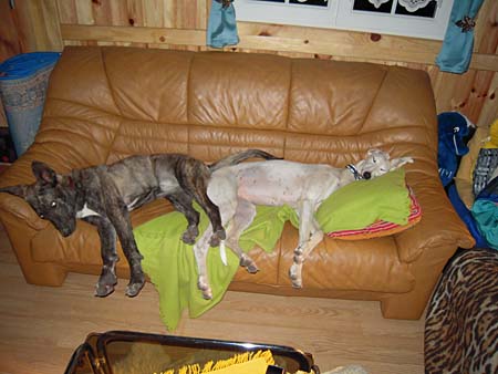 Greta mit Freundin Valentina
