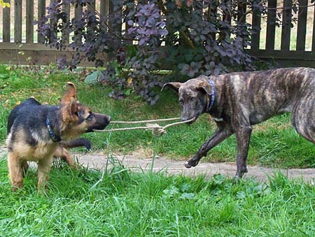 Greta und Chaska