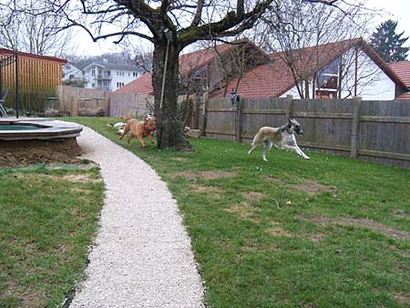 Jackie und Rosi im Garten