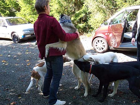 Jack wird von Buster, Pedrito, Valentina und Sunny "unter die Lupe genommen"