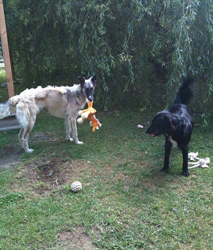 Jack und Moira Jack und Moira