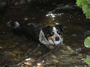 Jura beim Baden