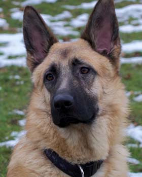 Louka