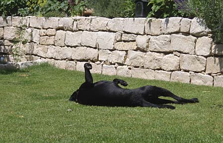 Relaxen im Garten Relaxen im Garten