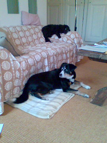 Mischa und Amy Mischa und Amy