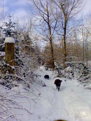 Winterspaziergang