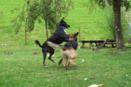 Morgan und Benjy