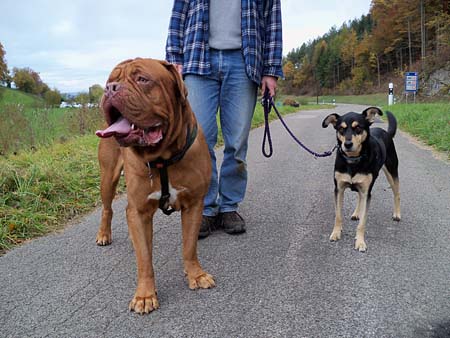 Nick und Luna