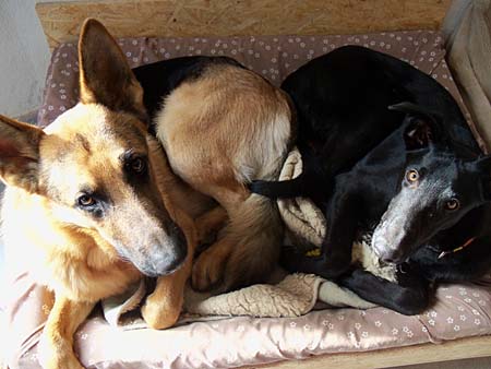 Chaska und Pedrito