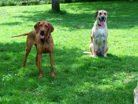 Rudy und Gioia Rudy und Gioia