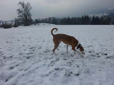 Mmm, das duftet �berall so fein…!