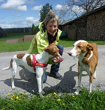 Na gut, für ein Gutzi stehen wir einen Moment ruhig. Na gut, für ein Gutzi stehen wir einen Moment ruhig.