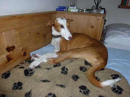 Ein kleines Powernapping in meinem (standesgem�ssen) Bettchen – und schon war ich wieder fit!