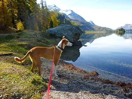 Jeden Morgen und Abend vor und nach der eigentlichen Wanderung ging’s an den traumhaft sch�nen Silsersee.