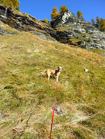 Wieso ist das zu steil? Drei federleichte S�tze und schon bist du oben…