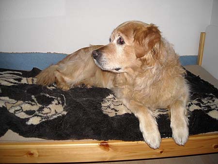 Bild 46