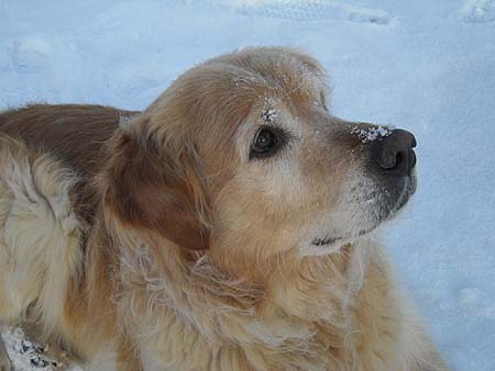 Bild 54