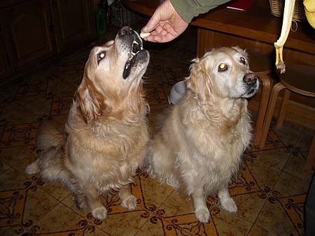 Bild 76