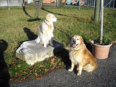 Bild 20