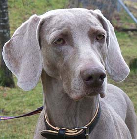 Hera